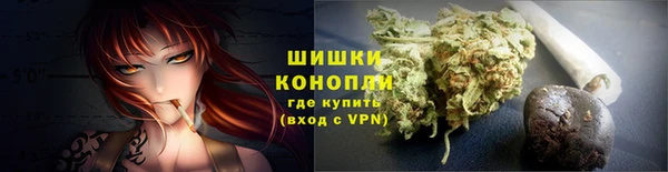 ПСИЛОЦИБИНОВЫЕ ГРИБЫ Балахна