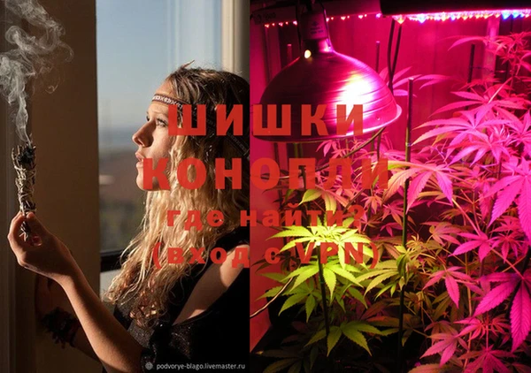spice Покров
