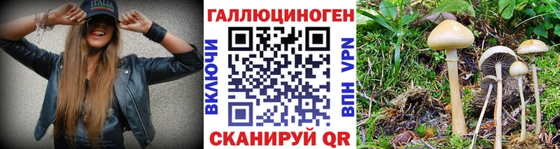 продажа наркотиков  Суоярви  Галлюциногенные грибы мухоморы 