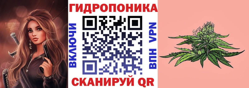Шишки марихуана ГИДРОПОН закладка Суоярви